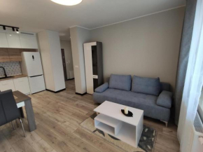 Apartament Piastowski Świebodzice